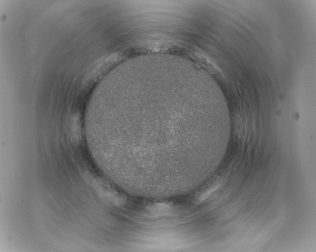 X0000074970594200609291940