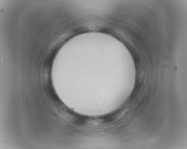 X0000074970595200609291940