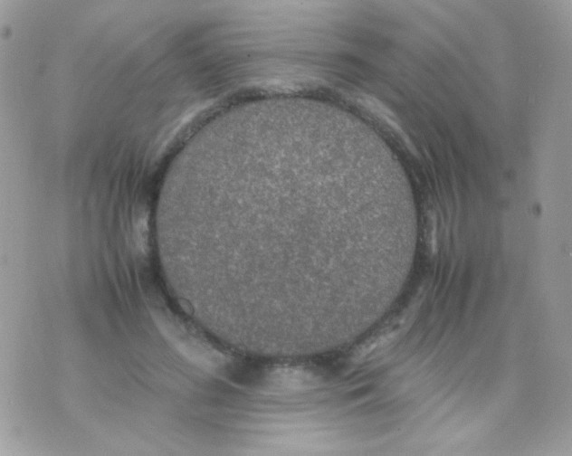 X0000074970596200609291940