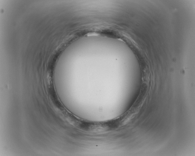 X0000074970597200609291940