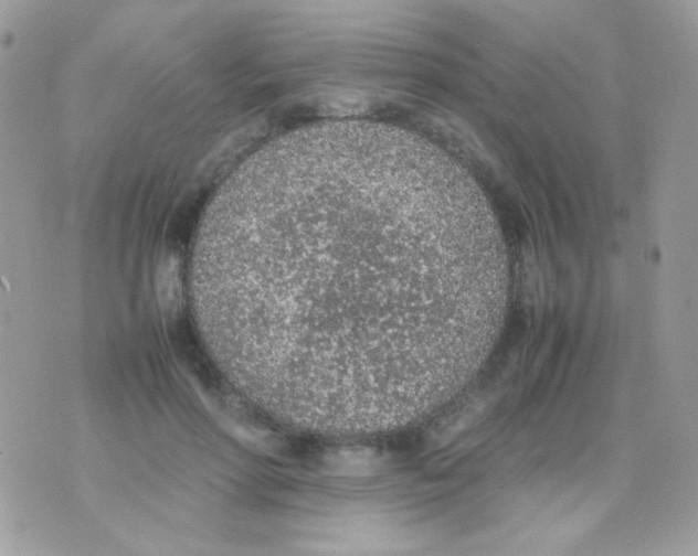 X0000074970598200609291940