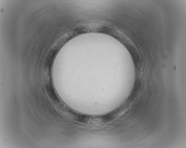 X0000074970599200609291940