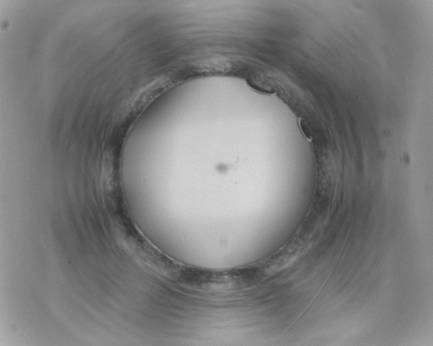 X0000074970600200609291940