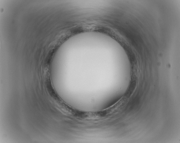 X0000074970601200609291940