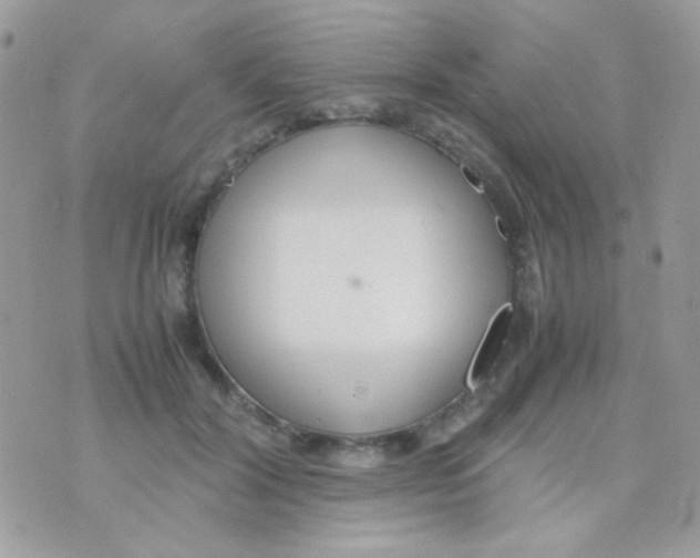 X0000074970604200609291940