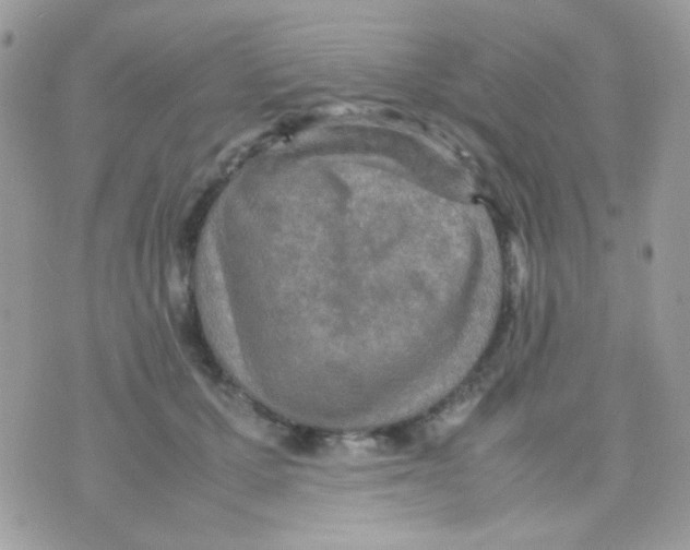 X0000074970607200609291940