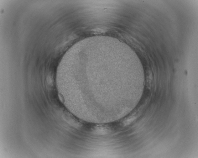 X0000074970608200609291940