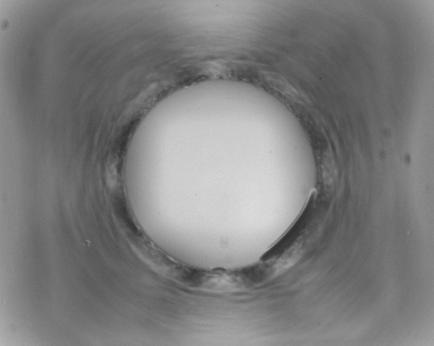 X0000074970611200609291940