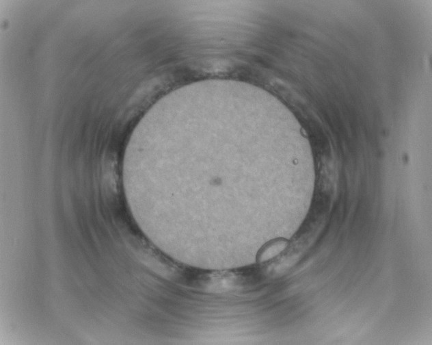 X0000074970612200609291940