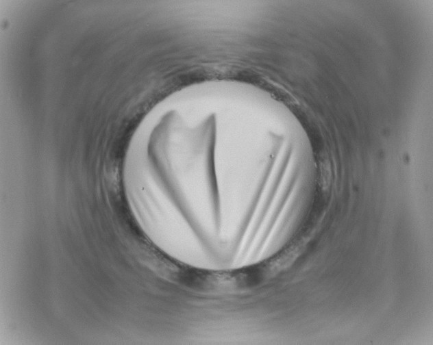 X0000074970613200609291940