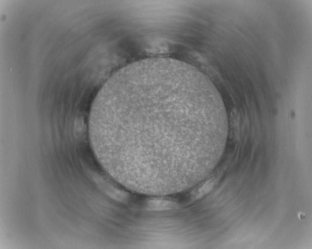 X0000074970614200609291940