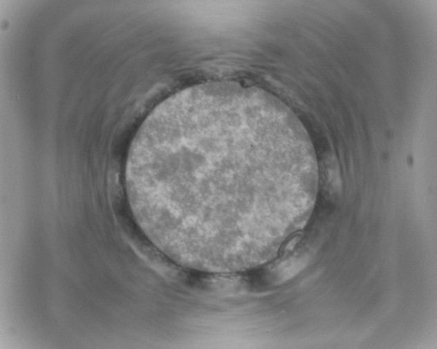 X0000074970615200609291940