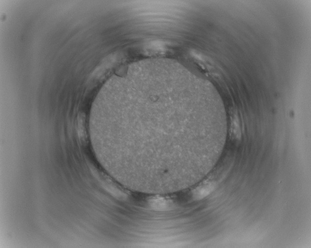 X0000074970616200609291940