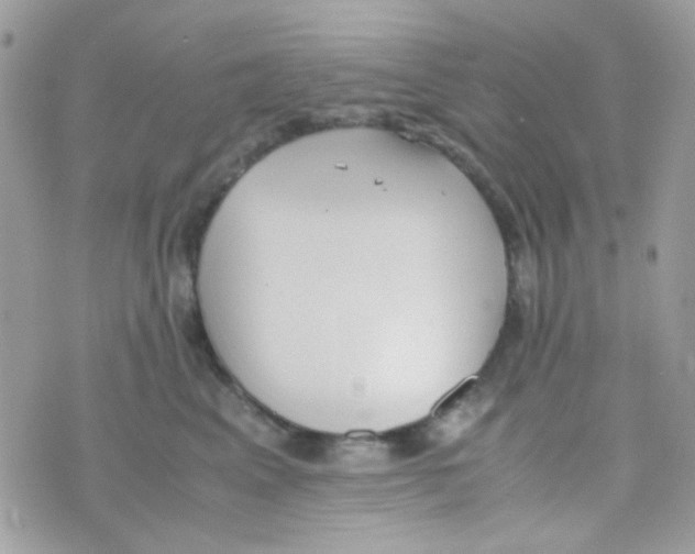 X0000074970617200609291940