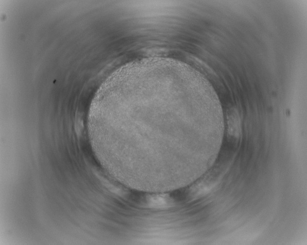 X0000074970618200609291939