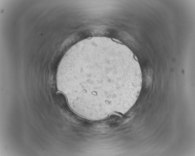 X0000074970619200609291939