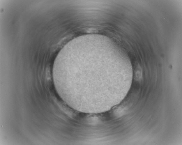 X0000074970620200609291939