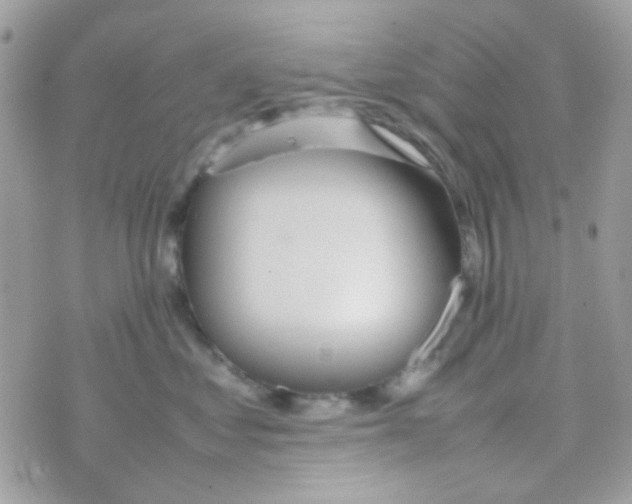 X0000074970621200609291939