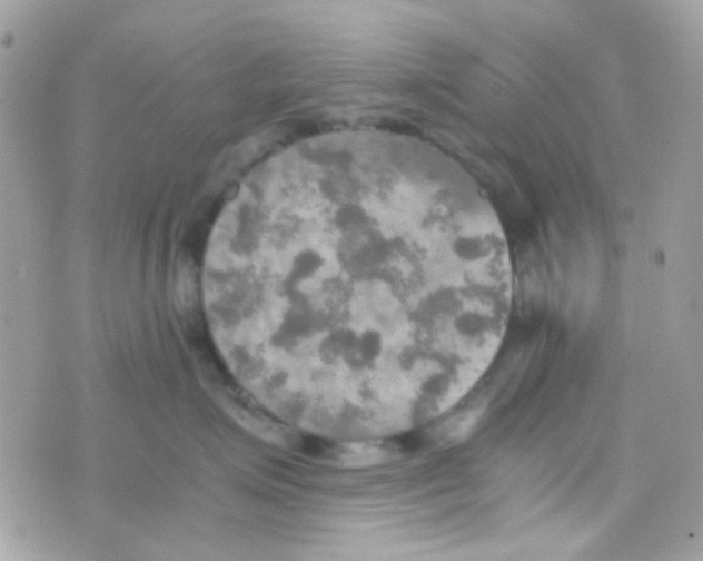 X0000074970623200609291939