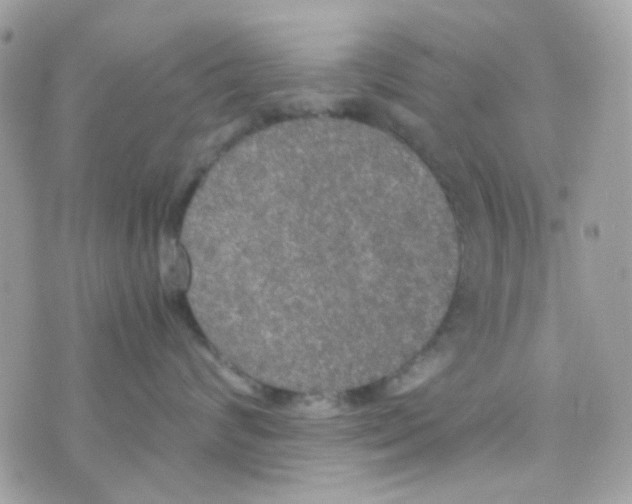 X0000074970624200609291939