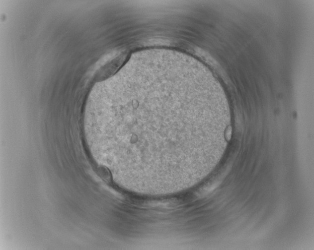 X0000074970625200609291939