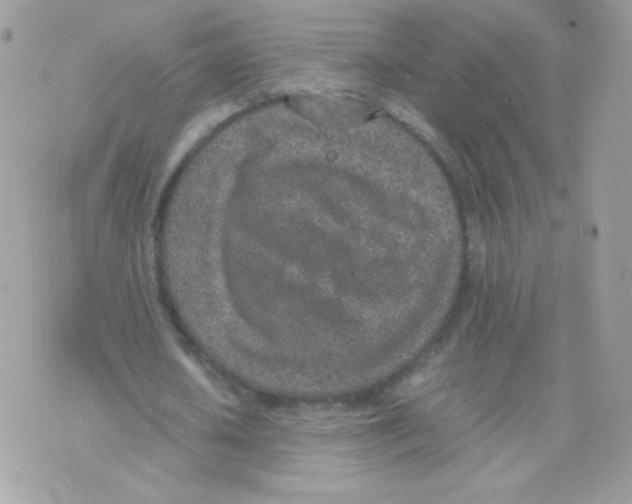 X0000074970626200609291939