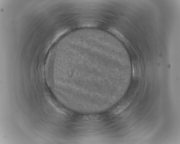 X0000074970627200609291939