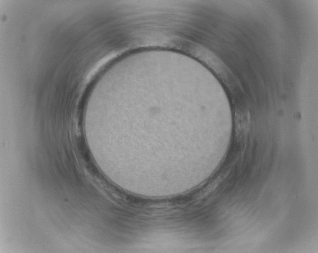 X0000074970628200609291939