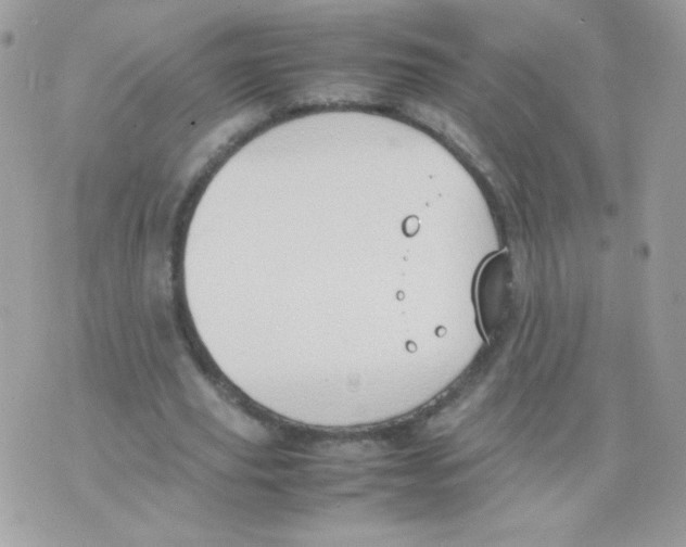 X0000074970629200609291939