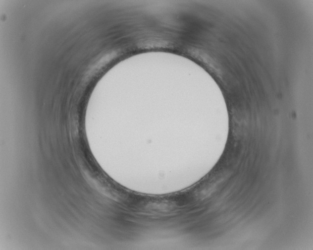 X0000074970631200609291939