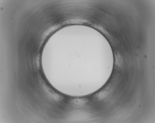 X0000074970632200609291939