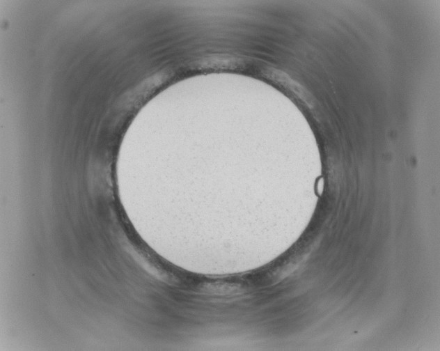 X0000074970633200609291939