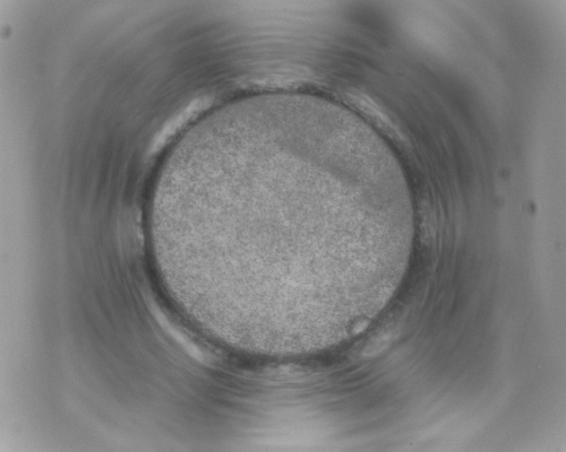 X0000074970634200609291939