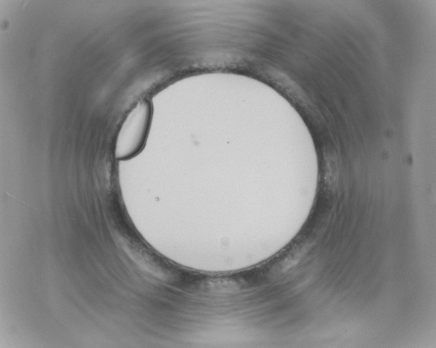 X0000074970636200609291939