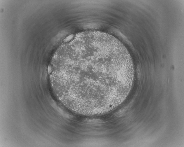 X0000074970637200609291939