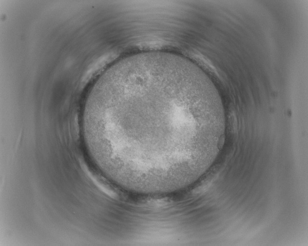 X0000074970638200609291939