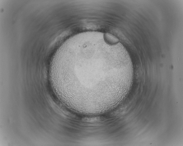 X0000074970639200609291939