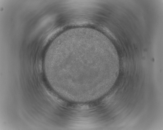 X0000074970640200609291939