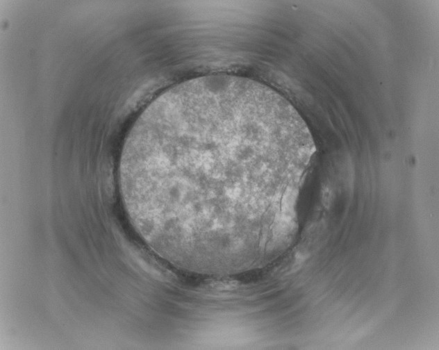 X0000074970642200609291939