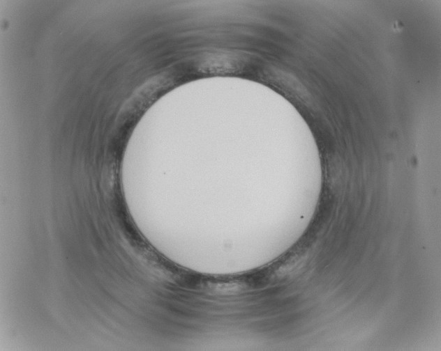 X0000074970645200609291939