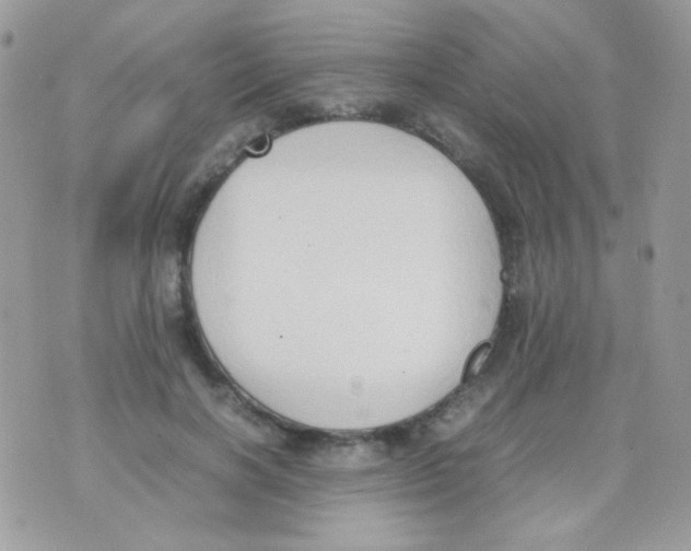 X0000074970646200609291939