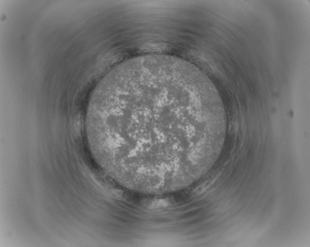 X0000074970647200609291939