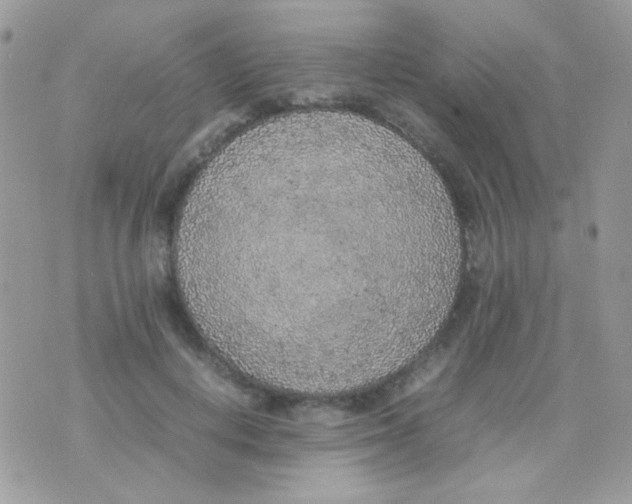 X0000074970648200609291939