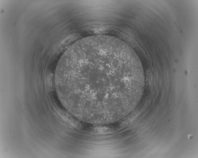 X0000074970650200609291939