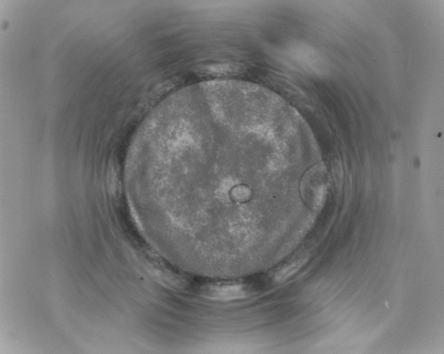 X0000074970651200609291939