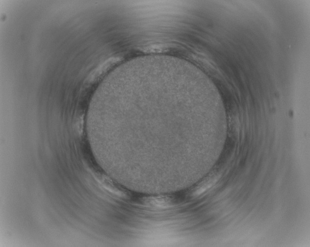 X0000074970652200609291939