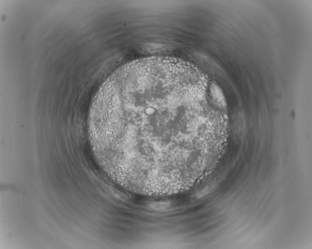 X0000074970653200609291939