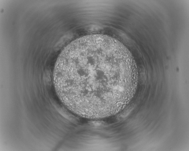 X0000074970654200609291939