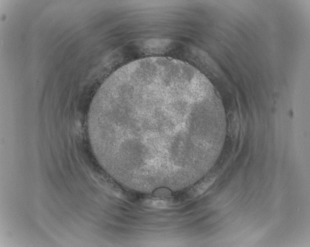 X0000074970655200609291939