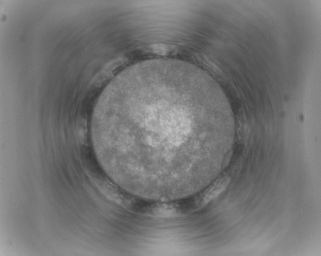 X0000074970656200609291939